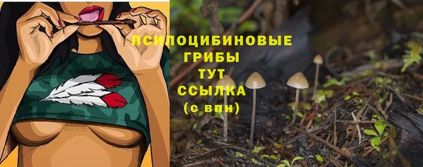 прущая мука Инта