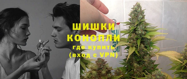 прущая мука Инта